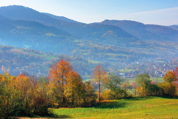 Mountainous countryside on a sunny autumn day. trees in colorful foliage. distant ridge in haze. bright blue sky with clouds. beautiful rural area of carpathian landscape