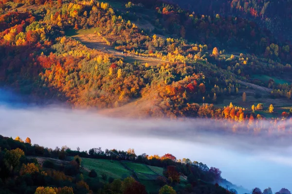 Beautiful autumn landscape with valley fog — Stock Photo, Image