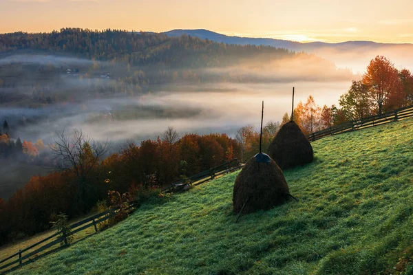 Осенняя сельская местность в горах на рассвете — стоковое фото