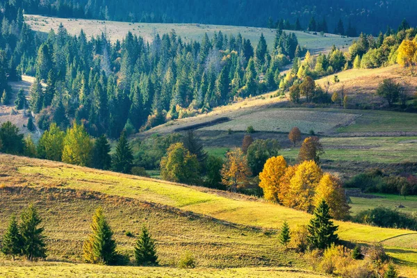 Sunny autumnal rural scenery in mountains — Stock Photo, Image