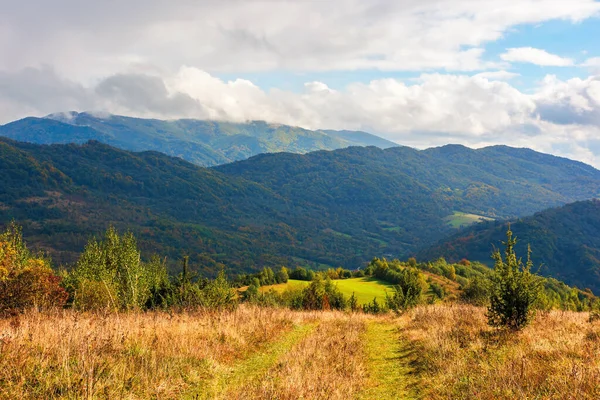 Rural grassy fields on Carpathian hills — Stock Photo, Image
