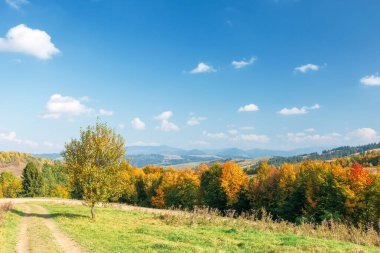 ağacın yanında yamaca bulutlu gökyüzü altında dağlarda Vadisi