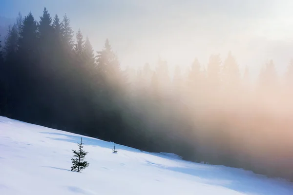Mañana brumosa en el invierno — Foto de Stock