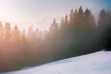 Kışın sisli sabahı