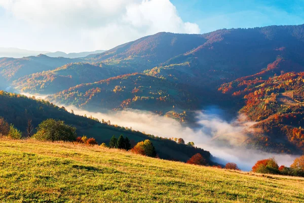 Dağda güneşli güzel bir sabah — Stok fotoğraf