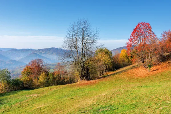 Forenoon ensolarado na área rural montanhosa — Fotografia de Stock