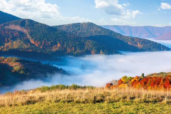 Splendida mattina di sole in montagna — Foto Stock