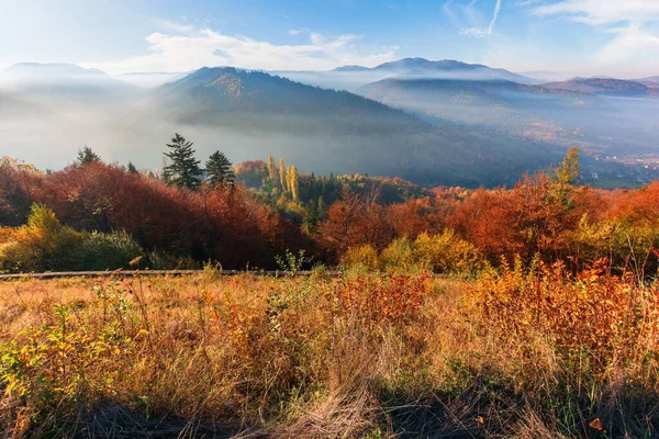 Mlhavý východ slunce v Karpatských horách — Stock fotografie