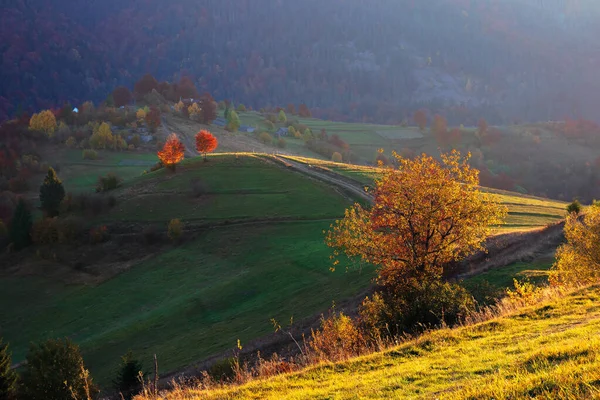 Paisaje rural al amanecer — Foto de Stock