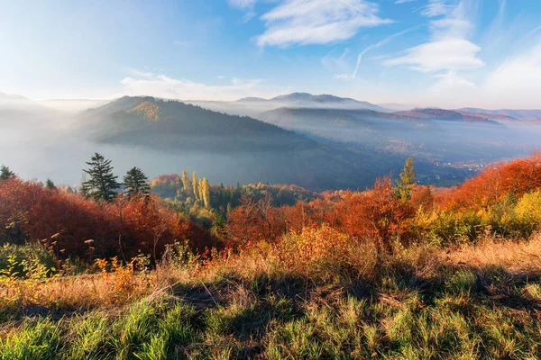 Amanecer brumoso en las montañas de los Cárpatos — Foto de Stock