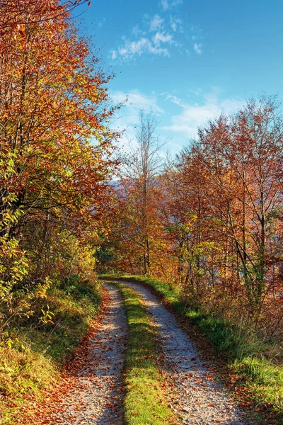 Route de campagne à travers la forêt en automne — Photo