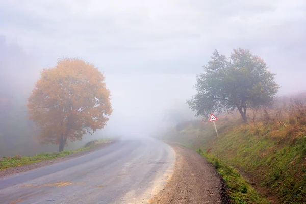 Wiejska droga przez las w mglistej pogodzie — Zdjęcie stockowe