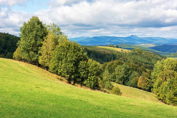 Wunderschöne Landschaft in den Bergen an einem bewölkten Tag — Stockfoto