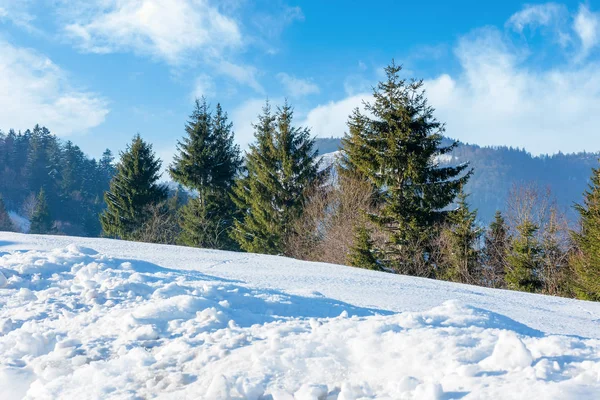 Sonniger Wintertag in den Bergen — Stockfoto