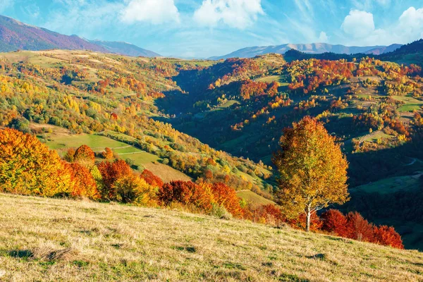 Bergige Landschaft in herbstlichen Farben — Stockfoto
