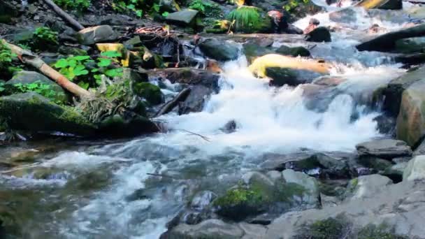 Lese Padá Velká Voda Krásná Přírodní Krajina Řeka Mezi Skalami — Stock video