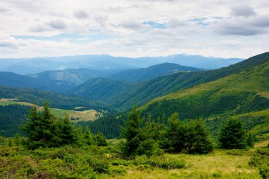 Dağlardaki vadinin yaz manzarası. Tepelerde ağaçlar ve yeşil çayırlar. Uzakta siyah bir sırt var. Karpatların güzel doğası. bulutlu gökyüzü
