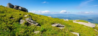 Yaz manzarasında bir dağ çayırı. Kabarık bulutlu mavi gökyüzü. Güneşli bir günde güzel bir yaz manzarası. Çimlerin arasındaki yamaçta kayalar. uzaklığa bak