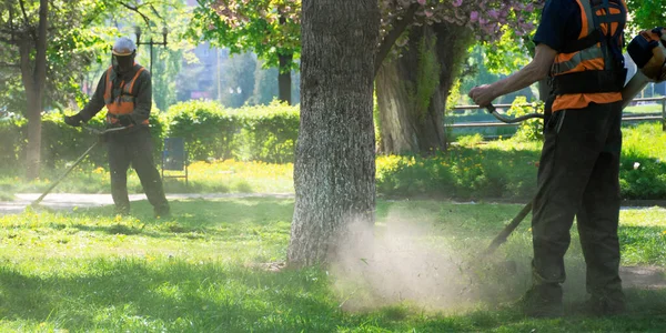 Professionell Trädgårdsservice Jobbet Gräsmatta Vård Koncept Klipp Gräset Parken Vår — Stockfoto