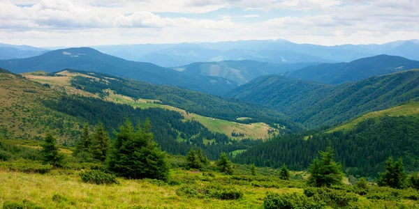 Summer Landscape Valley Mountains Panoramic View Trees Green Meadows Rolling — Stock Photo, Image