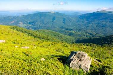 Dağ yaz manzarası. Bir tepenin kenarındaki çimlerin arasında dev keskin bir taşla çayır.