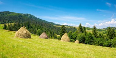 Kırsal Vadi 'nin yaz manzarası. # Dağlarda yeşil bir çayırda saman yığını # # Mavi bir gökyüzünün altında sabah #