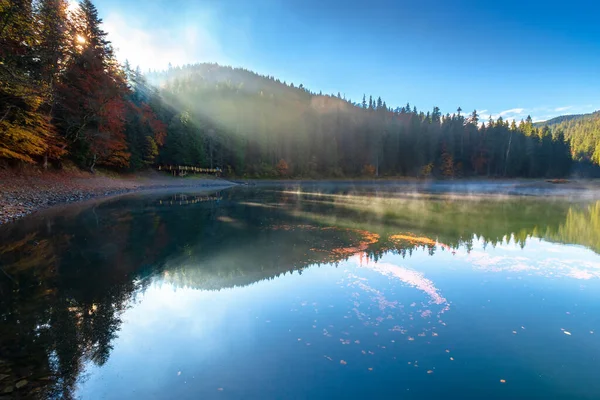 synevyr lake at foggy sunrise. misty mountain landscape in autumn. forest reflecting in the water. morning in fall season. trees in colorful foliage