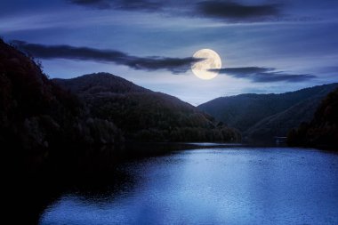 Gece Romanya 'daki Tarnita Gölü. Dolunay ışığında sonbaharda güzel doğa manzarası. Parlak bulutlu muhteşem gökyüzü