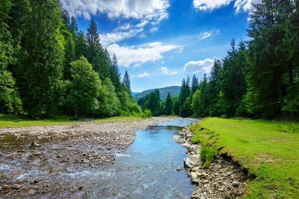 River Mountain Landscape Beautiful Nature Scenery Water Flow Forest Sunny — Stock Photo, Image