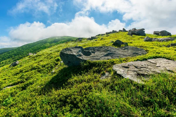 Paisagem Montanhosa Pedras Brancas Afiadas Encosta Manhã Dappled Luz — Fotografia de Stock