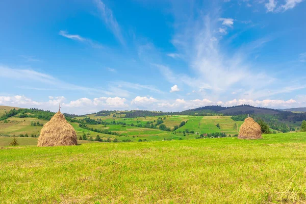 Apilamiento Heno Resistido Campo Idílicos Paisajes Junto Cama Día Soleado — Foto de Stock