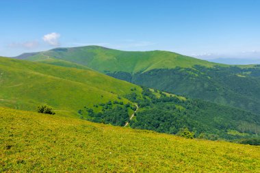 Karpat Dağları manzarası. Harika bir yaz günü manzarası. Borzhava Tepesi Ukrayna 'nın popüler bir seyahat merkezidir.