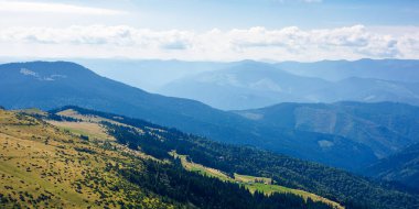 Karpat Dağları 'nın tepeleri ve vadileri. Çimenli yamaçlardaki ağaçlar ve çalılar. Güneşli bir günde güzel bir manzara. Mavi gökyüzündeki bulutlar