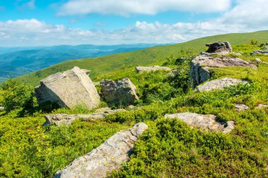 Dağ yaz manzarası. Zirvenin yakınındaki yamacın tepesindeki çimenlerde taşlarla dolu çayır.
