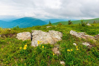 Alp yamacındaki kayalar. Bir tepenin kenarından manzara. Dağlardaki güzel yaz manzarası. Gökyüzünde gri bulutlar olan bulutlu bir hava.