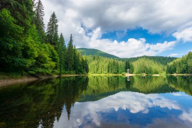 Sudaki yansıma. Ormanın ortasındaki göl. Yazın güzel doğa manzarası. Gökyüzünde bulutlar olan güneşli bir hava.