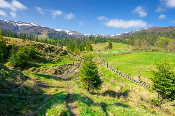 Ländliche Landschaft Den Bergen Schöne Grüne Sommerkulisse Bäume Und Felder — Stockfoto