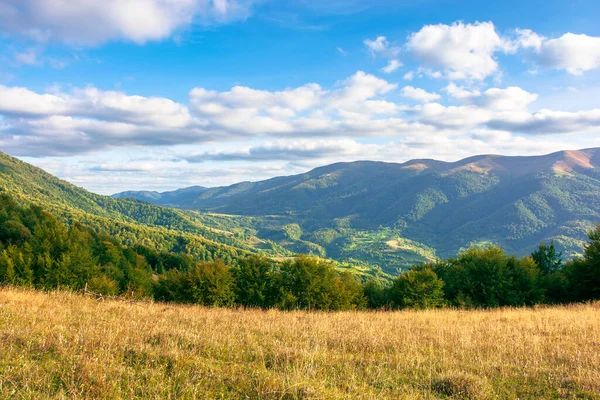 Autumn Landscape Evening Light Trees Grass Hillsside Meadow Rural Valley — Stock Photo, Image