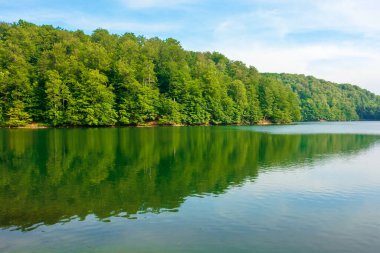 Vihorlat Dağları 'nın kayın ormanlarının arasında. Yazın sakin doğa manzarası. Gökyüzü ve suda yansıyan ağaçlar. Yumuşak bulutlu güneşli öğleden sonra havası