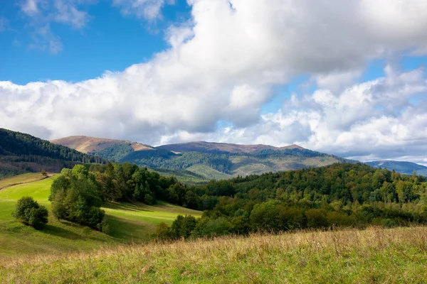 Prado Gramado Dia Ensolarado Nas Montanhas Bela Paisagem Rural Luz — Fotografia de Stock