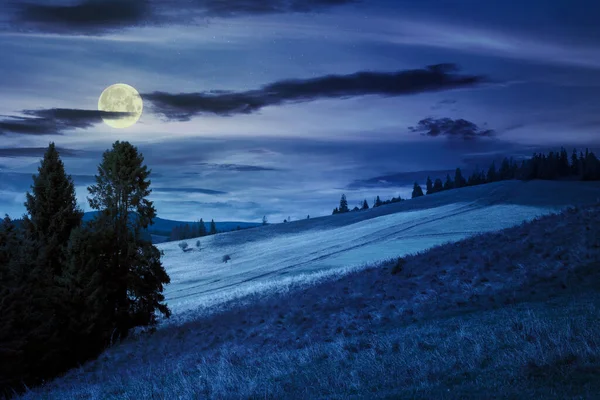 Geceleri dağlarda çimenli çayırlar. Dolunay ışığında güzel bir kır manzarası. Bulutlu gökyüzü