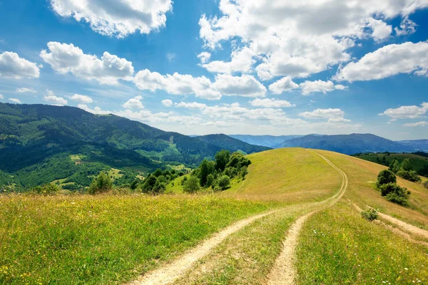 穿过高山草甸的小路 喀尔巴阡山乡村阳光灿烂的夏季风景 蓝天上的白色绒毛云 — 图库照片