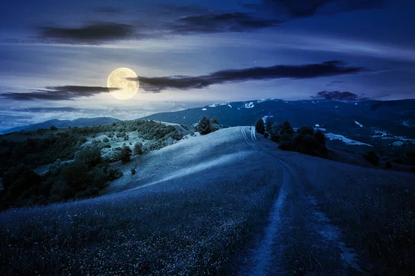 夜晚穿过高山草甸的小径 充满月光的喀尔巴阡山乡村神秘的夏季风景 蓝天上蓬松的云彩 — 图库照片