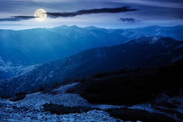 夜に石のある山の風景 岩や草の間のジュニパーツリー 満月の光の中で劇的な自然景観 遠くの尾根を見渡すと — ストック写真