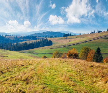 Güneşli bir sonbahar gününde kırmızı yapraklı orman. Ağaçların dalları ve ormanda kırmızı yaprakları var. Güneşli bir sonbahar günü, açık mavi gökyüzü ve yüksek zirvesi olan dağların yamacında.
