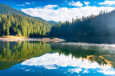 Sisli gündoğumunda göl manzarası. Suya yansıyan sisli manzara. Sonbahar mevsiminde harika bir sonbahar sabahı. Rengarenk ağaçlar,
