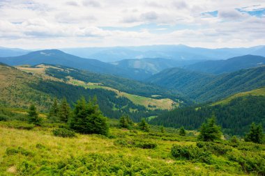 Dağlardaki vadinin yaz manzarası. Tepelerde ağaçlar ve yeşil çayırlar. Uzakta siyah bir sırt var. Karpatların güzel doğası. bulutlu gökyüzü