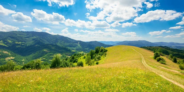 Stig Genom Ängen Fjällen Soligt Sommarlandskap Den Karpatiska Landsbygden Vita — Stockfoto