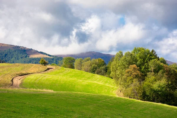 Grazig Weiland Een Zonnige Dag Bergen Prachtig Landschap Gedoofd Licht — Stockfoto