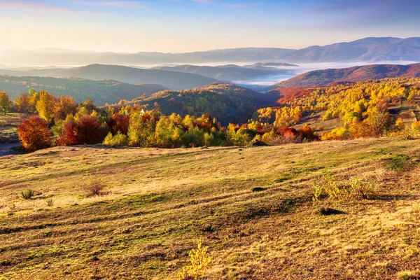 日出时的秋天乡村风景 在五彩缤纷的树叶中的树 草地上长满了黄草 遥远的山谷充满了雾 地平线上的山脊 晨光中乌云弥漫的天空 — 图库照片